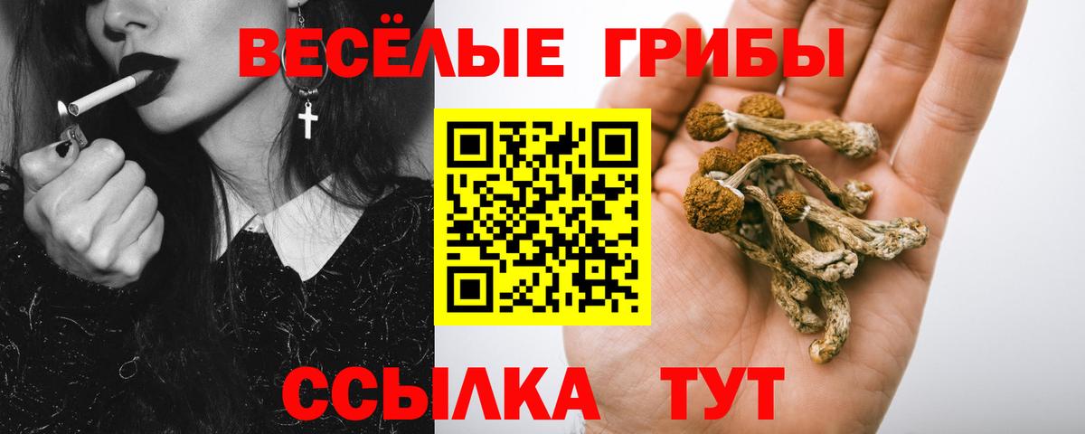 Галлюциногенные грибы MAGIC MUSHROOMS  Вход с VPN  Сочи 